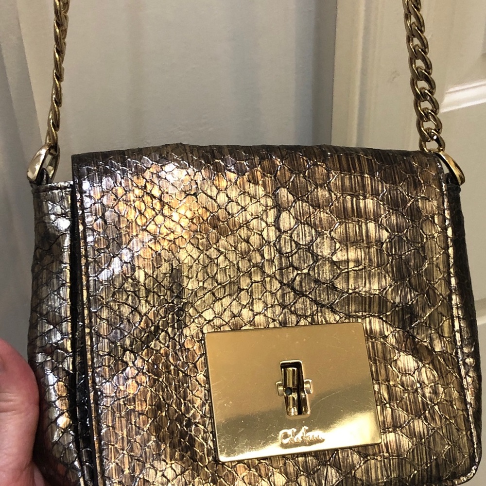 Cole Haan Cross Body Bag, Snakeskin with chain shoulder strap!